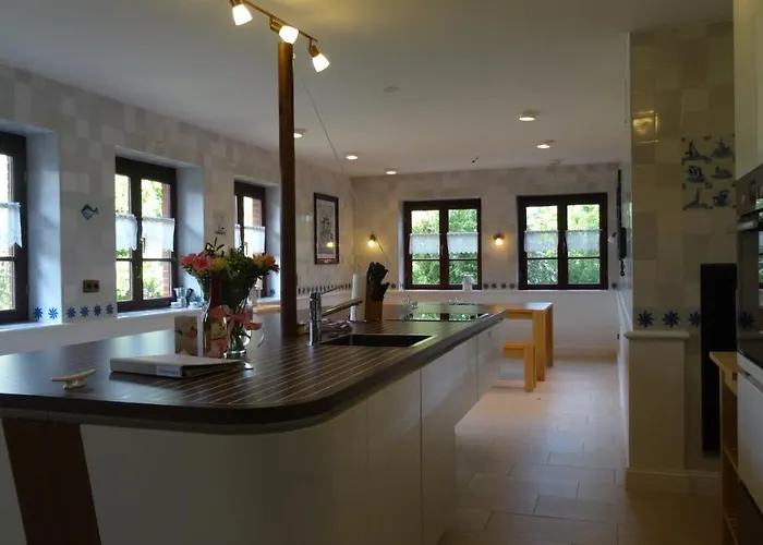 Hollandwarft Ferien Unter Reet Pellworm